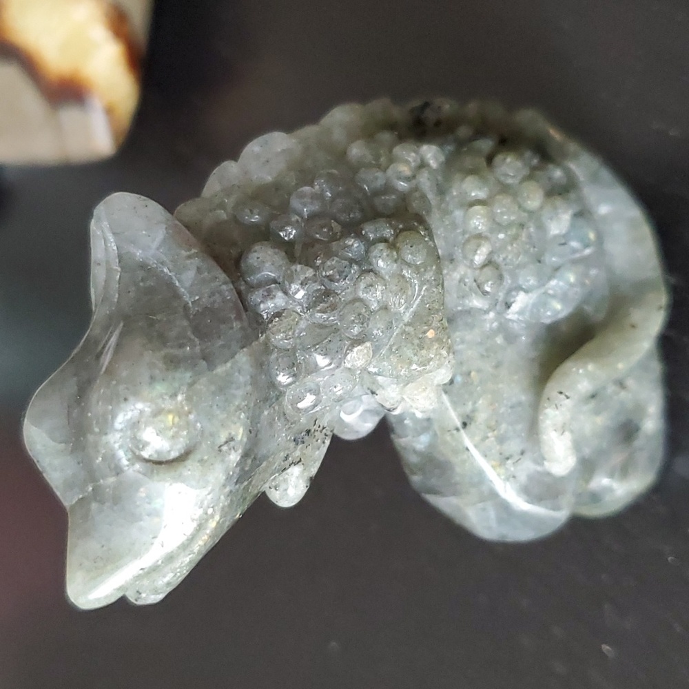 Labradorite Chameleon 🦎